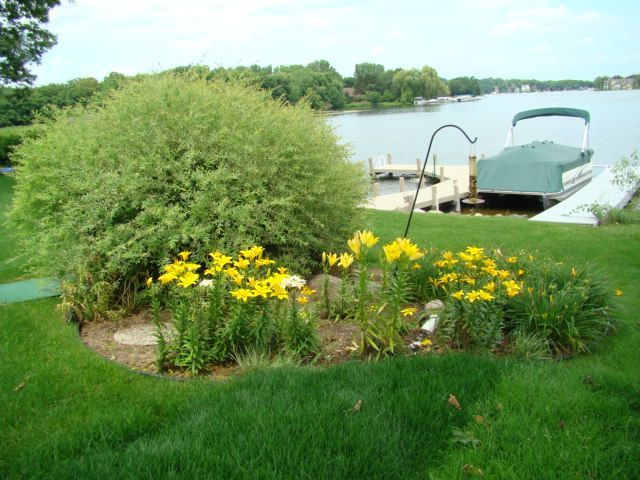 Lakefront garden with yellow flowers, a green shrub, and a docked boat on calm water