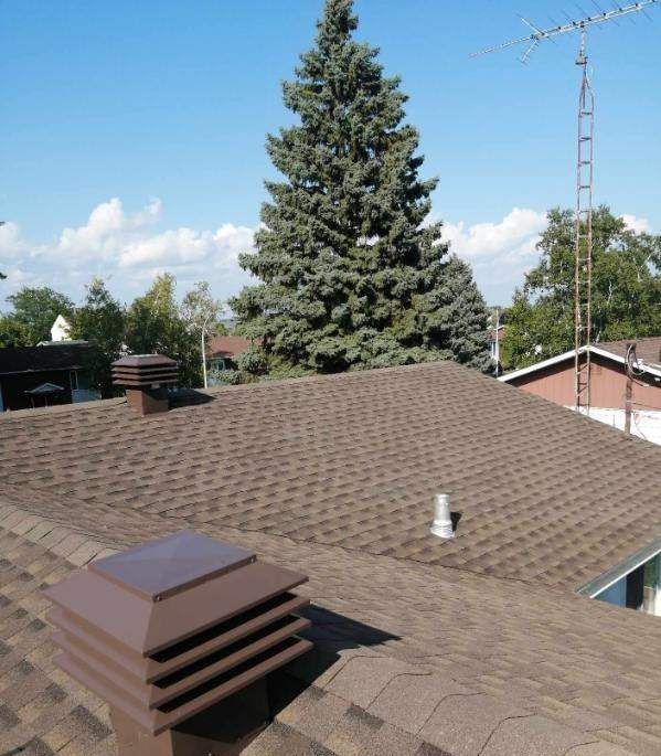 Toit en bardeaux bruns avec cheminée et chapeau de ventilation, sur fond de ciel bleu avec des arbres en arrière-plan.