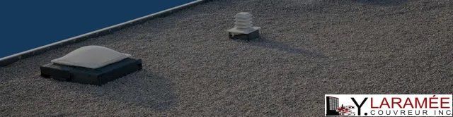 Un logo lylaramee est sur une surface grise