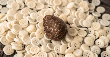A single chocolate egg nestled among many white candy-coated eggs