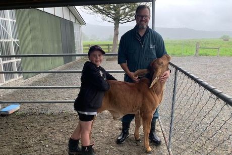 Paradise Farm Vets