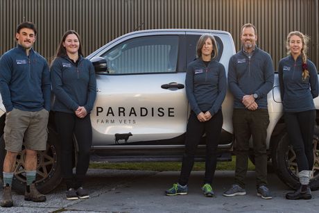 Paradise Farm Vets