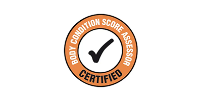 BCSA logo