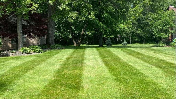 A backyard lawn featuring freshly mowed stripes of alternating light and dark green grass, framed by mature trees.