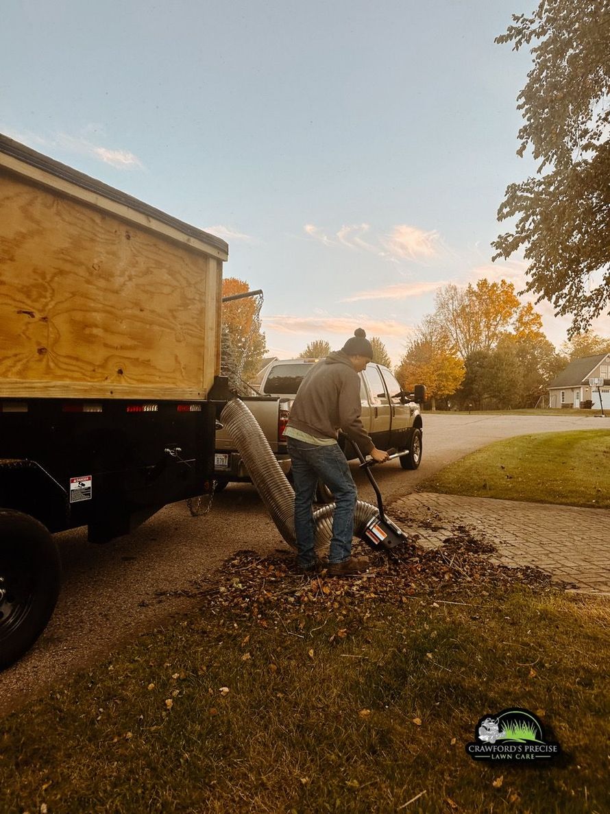 leaf clean up now near me