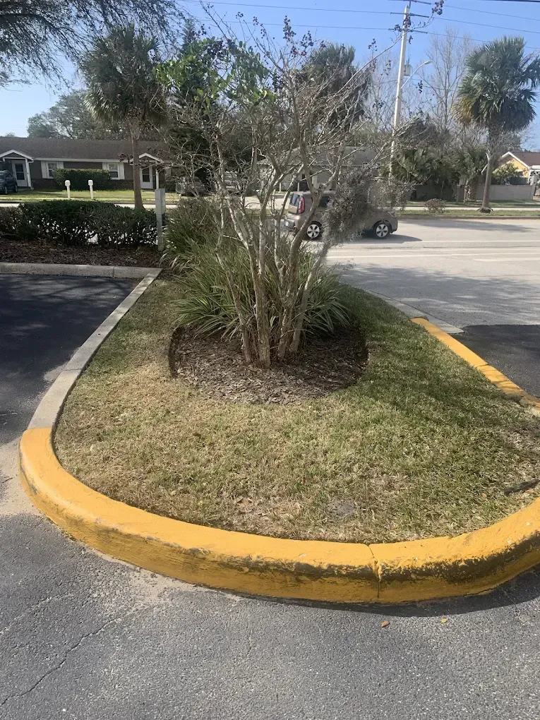 A yellow curb with a tree in the middle of it.