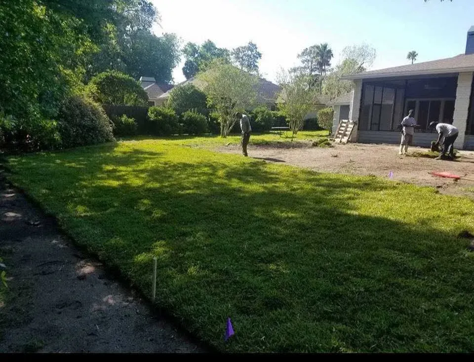 A group of people are working on a lush green lawn in front of a house.