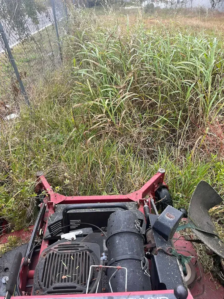 A red lawn mower is cutting through tall grass in a field.