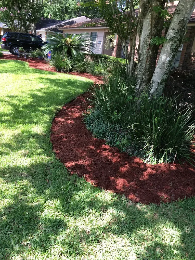 A lush green lawn with a red mulch path leading to a house.