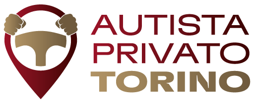Autista Privato Torino - logo