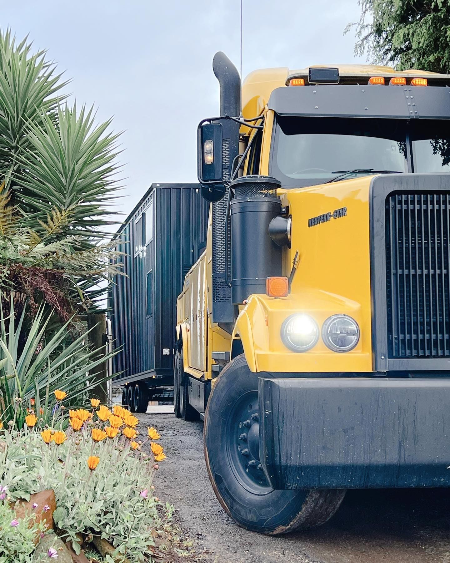 A yellow semi truck is parked in a driveway next to a bush.