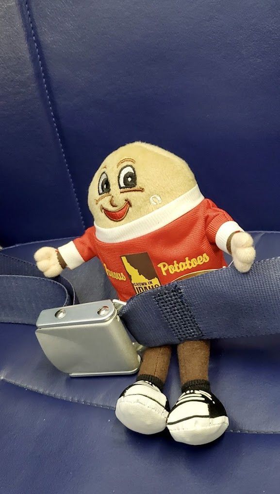 A stuffed potato is sitting on a blue seat belt