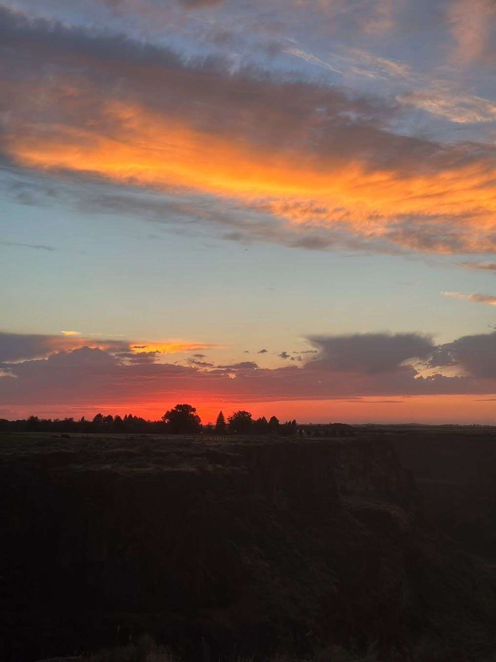 A sunset over a field with trees in the foreground