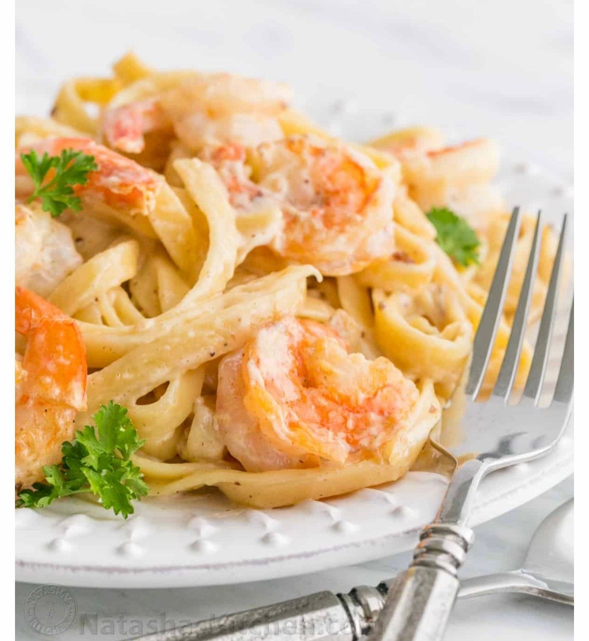 Shrimp Alfredo pasta on a white plate with a silver fork; parsley garnish.