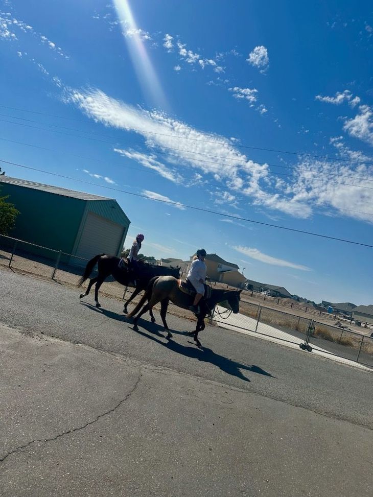 Three people riding horses on a sunny street beside a teal building under a blue sky