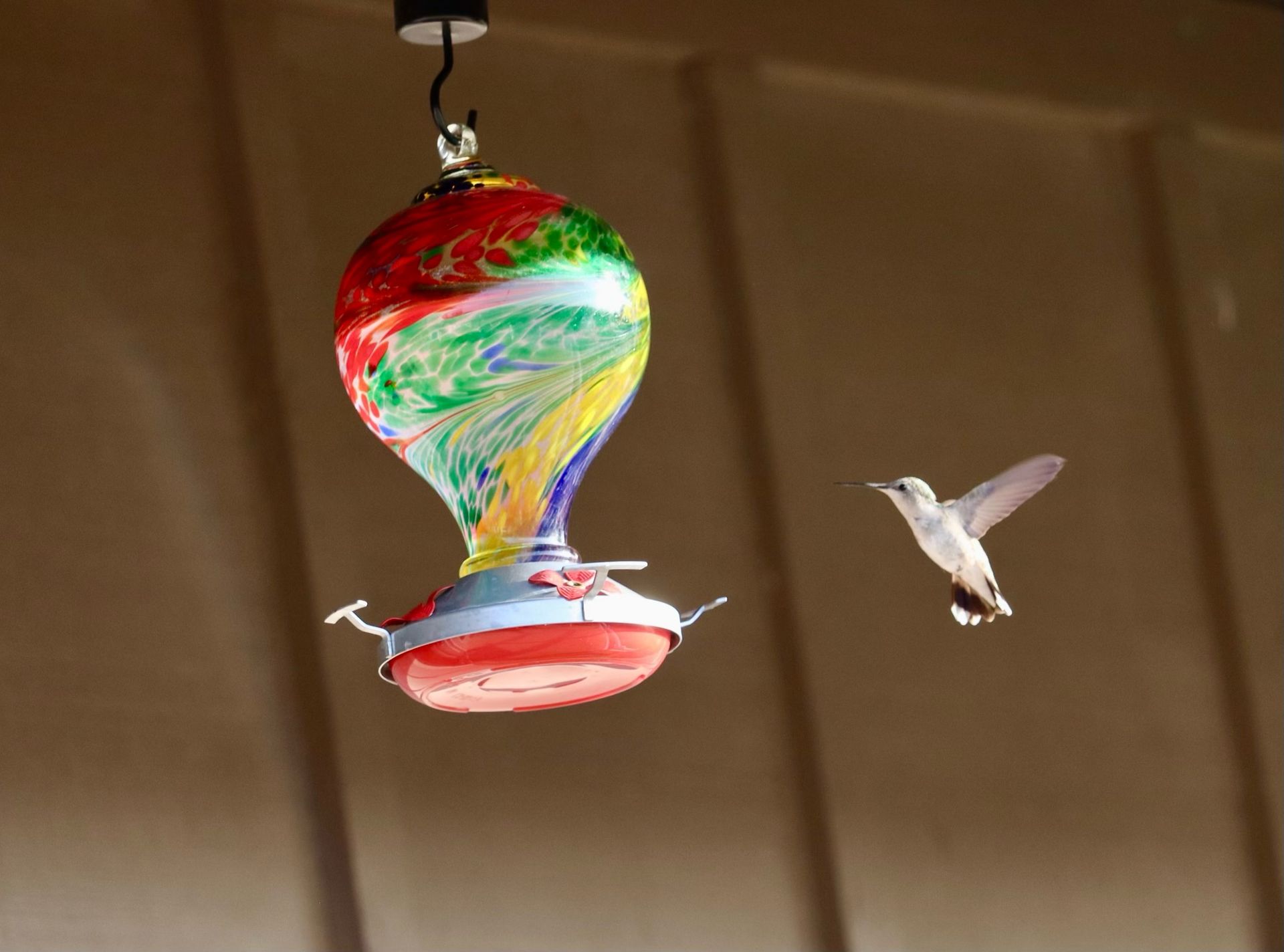 Hummingbird approaching a colorful glass feeder.