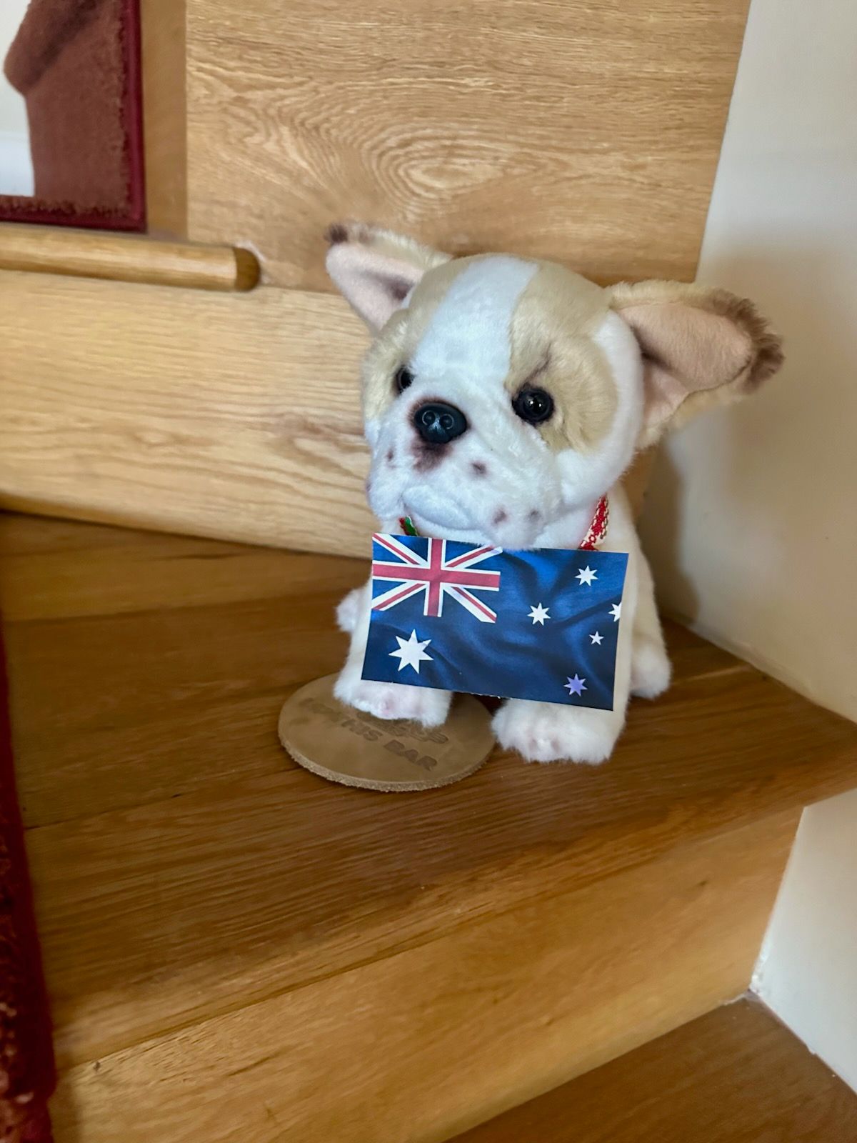 Stuffed bulldog with Australian flag tag, sitting on wooden stairs.
