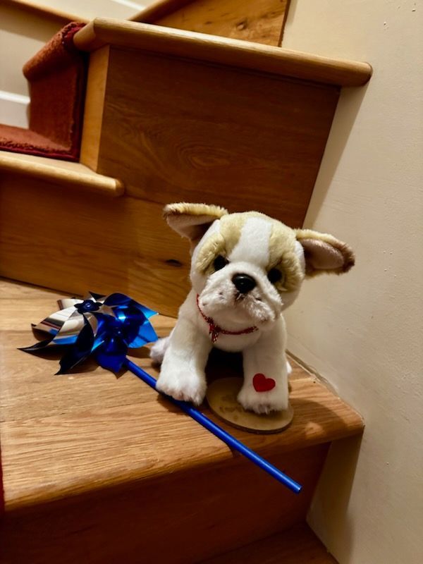 Small stuffed dog with a blue bow on wooden stairs next to a red heart decoration