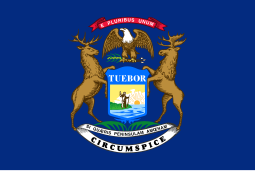 Michigan Flag;