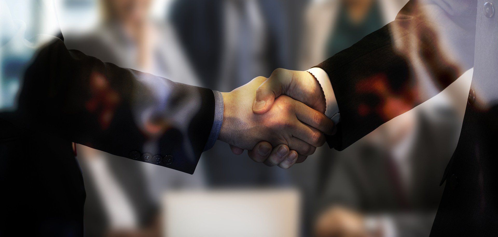 professionals handshake