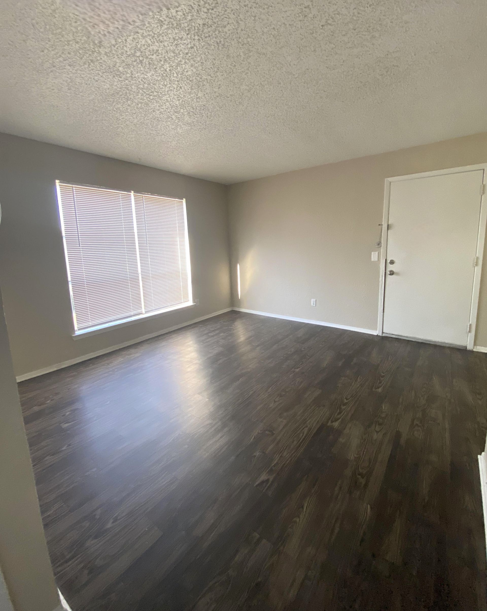 Empty room with dark wood-look flooring, a window with blinds, and a white door.