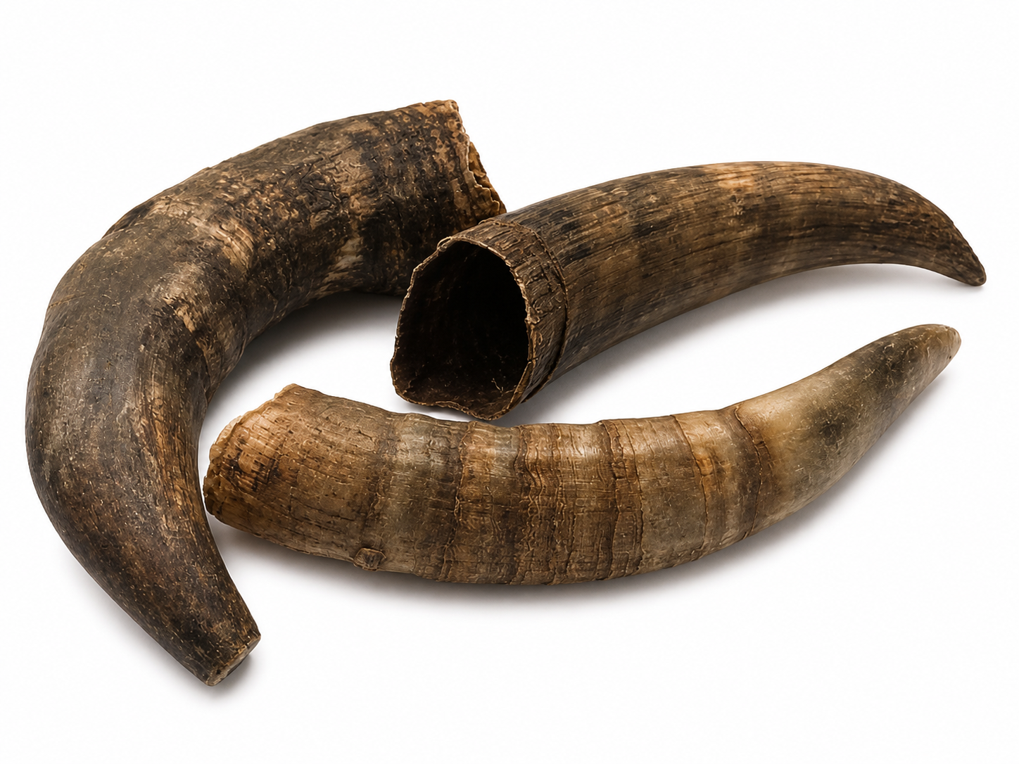 Haitian Kòn Bèf (Cow Horn)