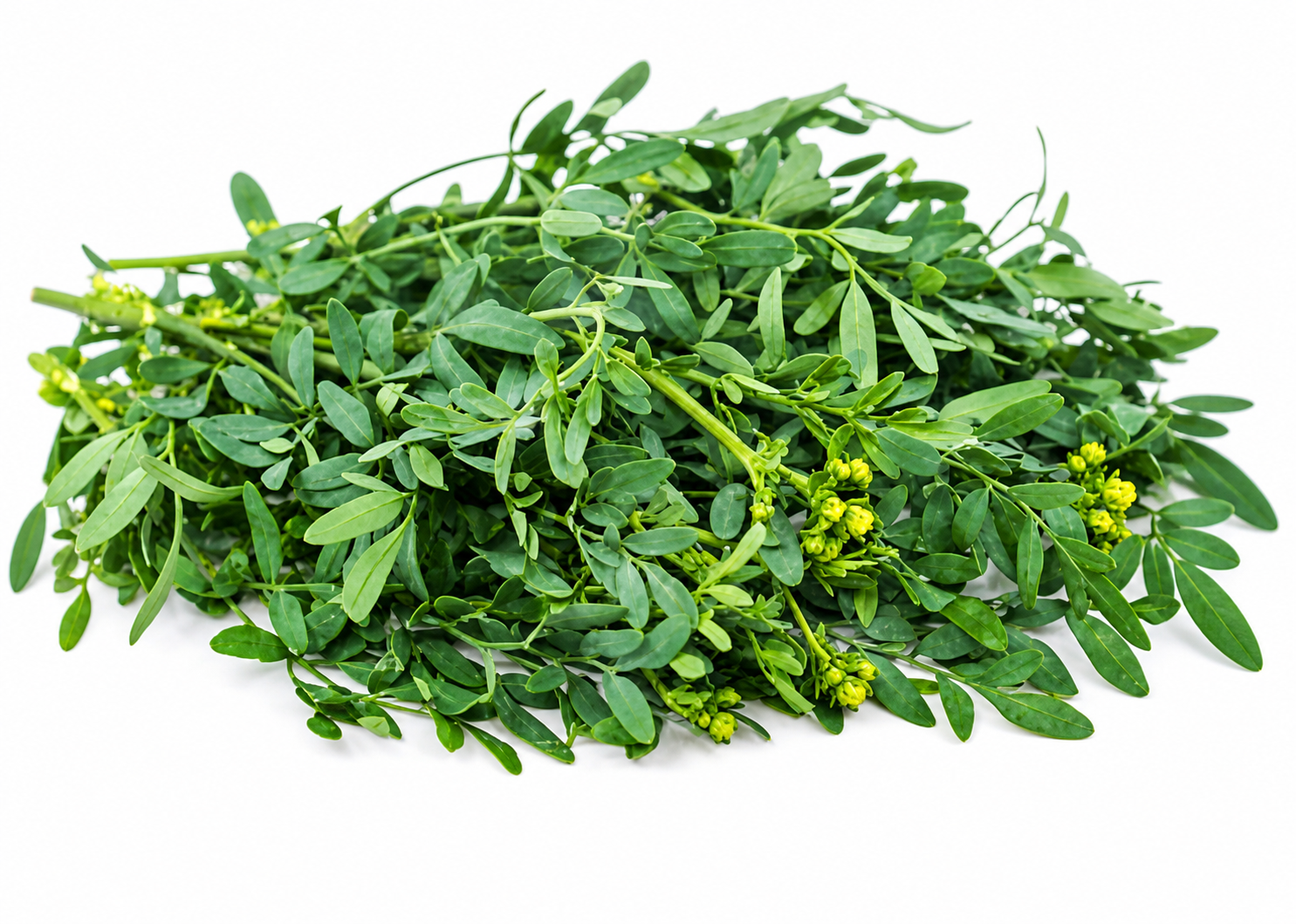 Fèy Zèb Natirèl (Fresh Herbal Leaves)
