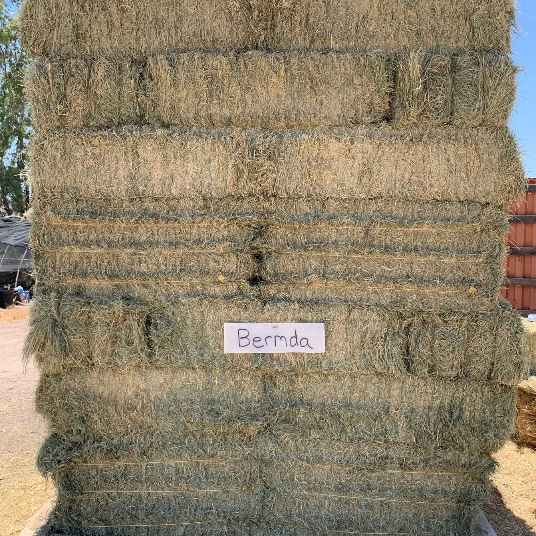 Stacked hay bales with a small white sign labeled “Bermuda” outdoors.