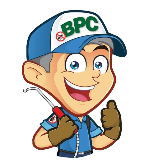 Spraying Insecticide on Window — North Bend, OR — Bill’s Pest Control
