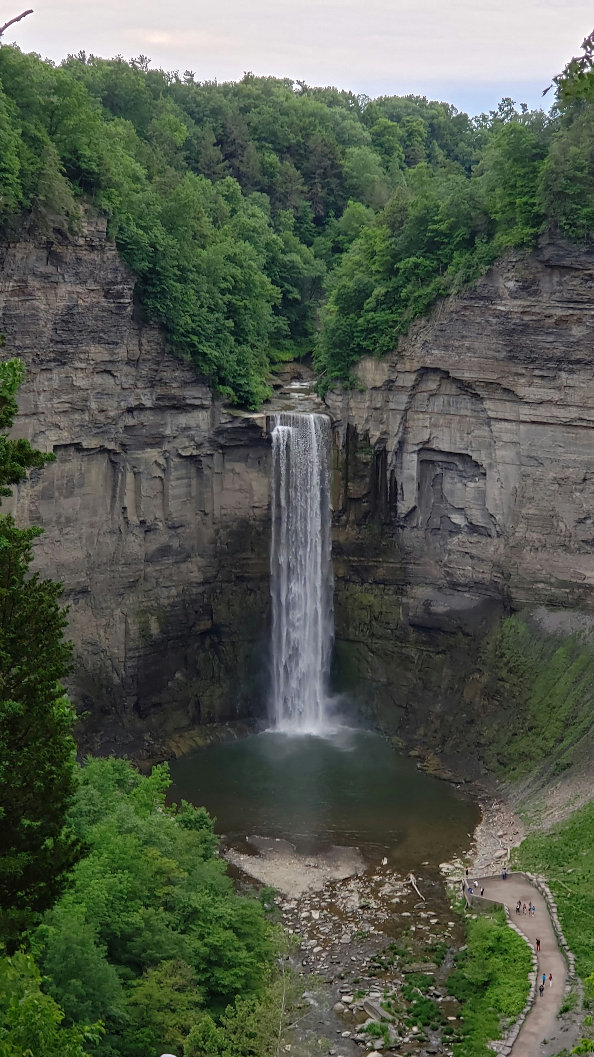 An elderly couple is walking with a bicycle in a park.