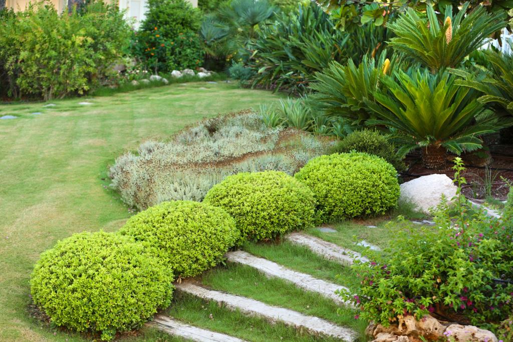 Landscape Design