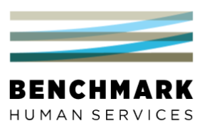 Benchmark Human Services logo with teal and gray ribbon lines above bold black text