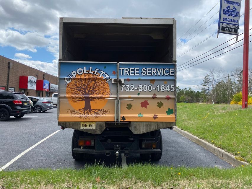 Tree service truck with raised dump bed on a roadside, logo and phone number on the tailgate.
