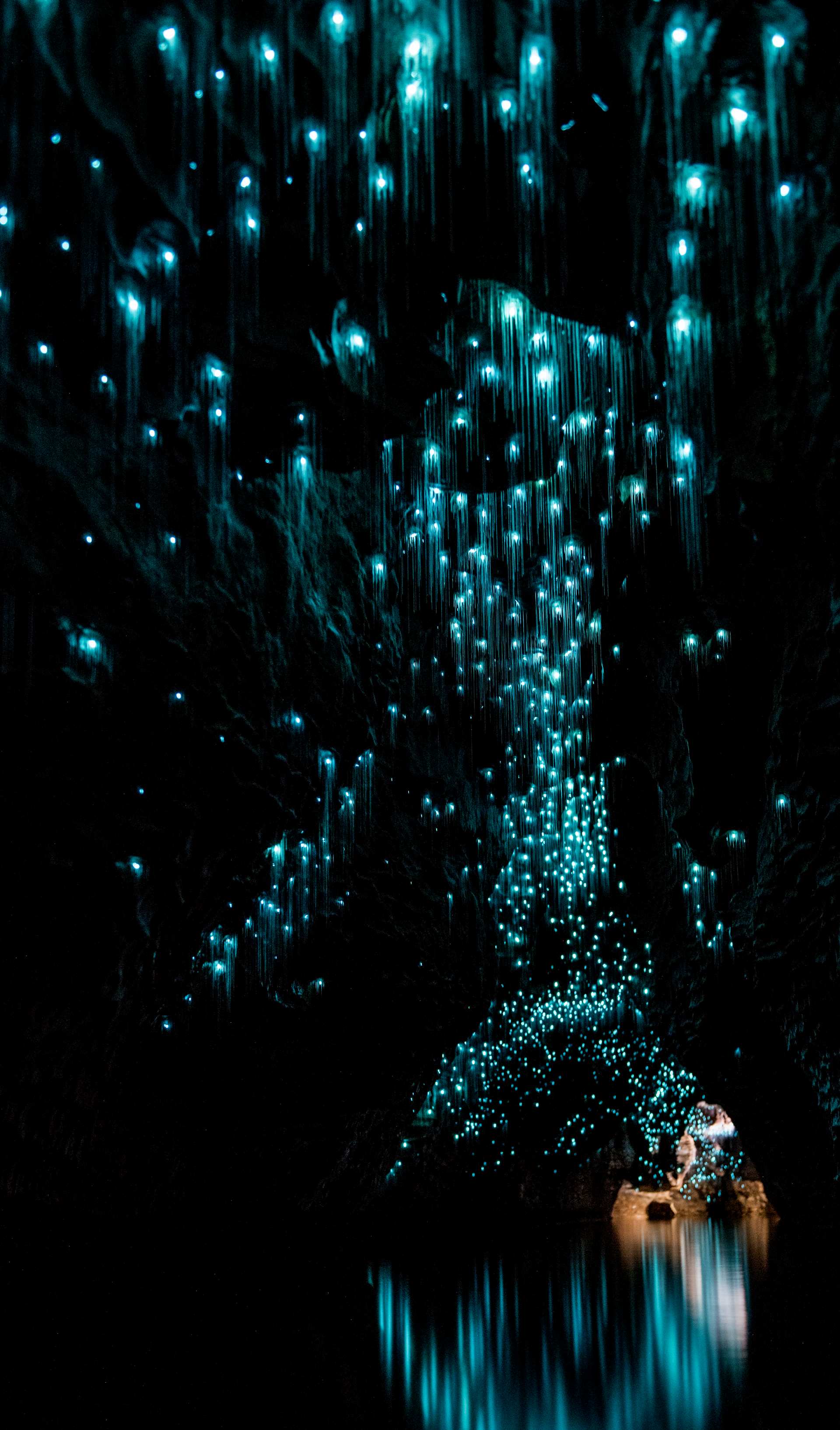 Fiordland Hotel - glowworm caves