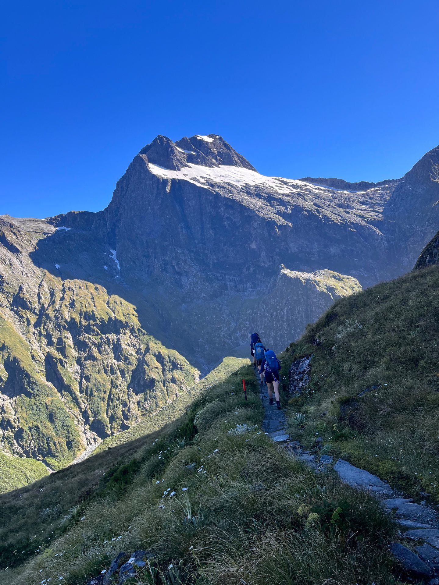 Fiordland Hotel - hikingtracks