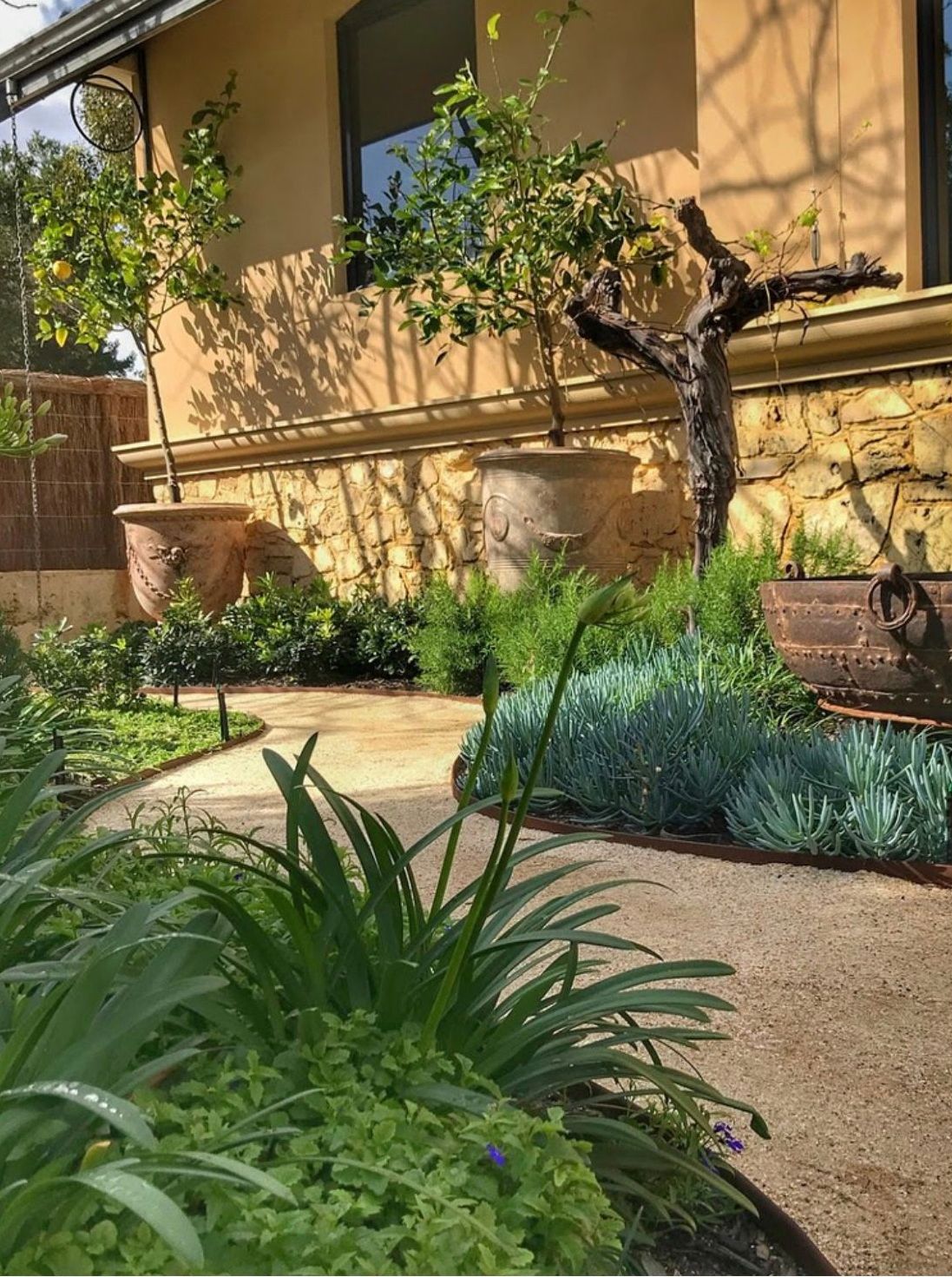 Electric And Violet — Campvale, NSW — Campvale Landscape Supplies