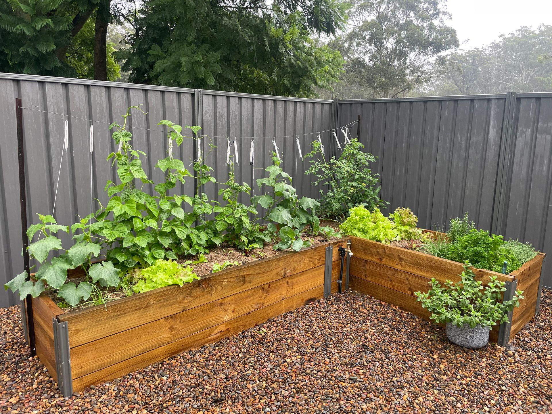 Compost Heap Garden Bed — Campvale, NSW — Campvale Landscape Supplies Compost Heap Garden Bed — Campvale, NSW — Campvale Landscape Supplies