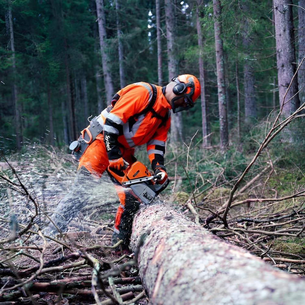 Lumberjack in Orange Safety Gear Using a Chainsaw — Mid Coast Mowers In Taree, NSW