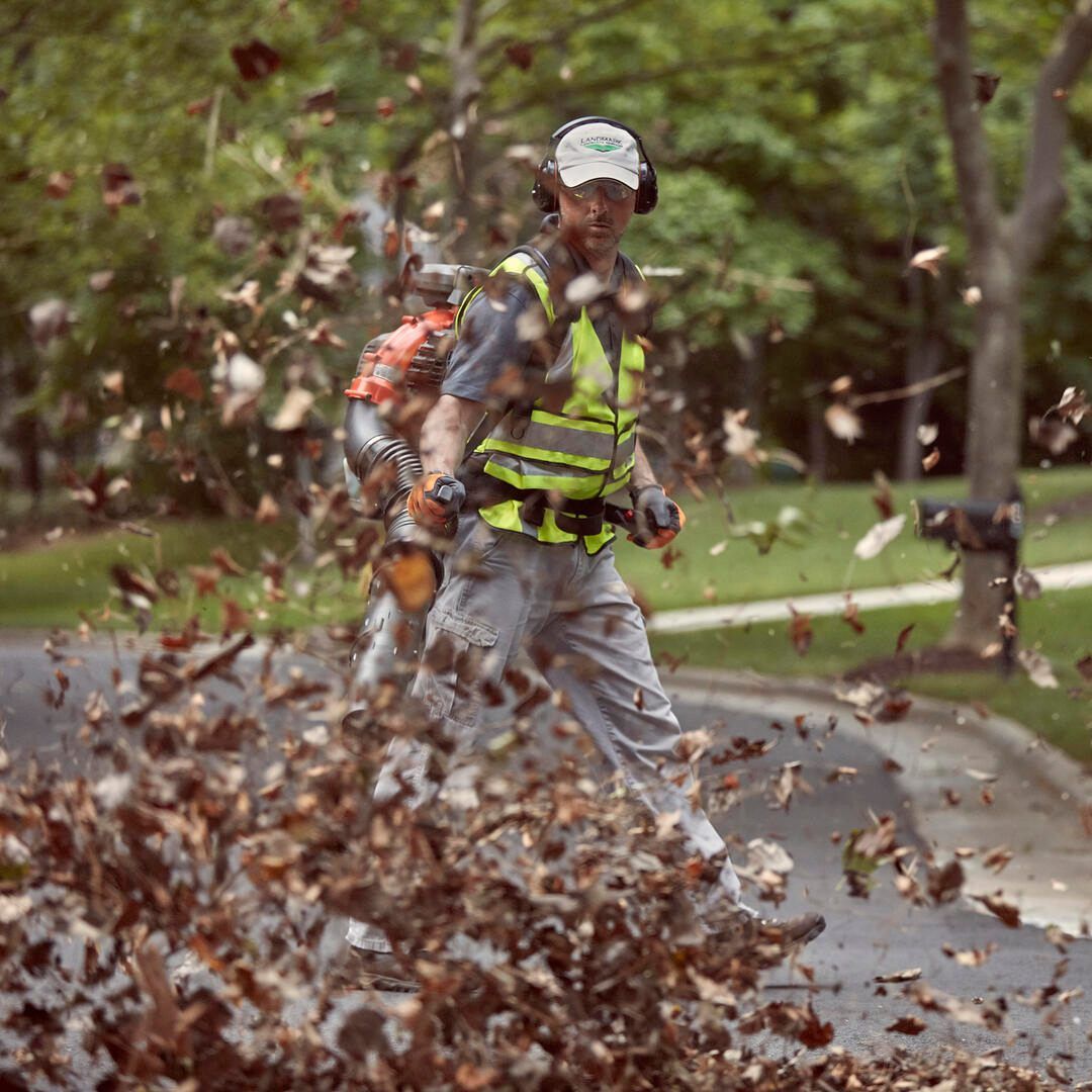 A Man Is Blowing Leaves On The Side Of The Road — Mid Coast Mowers In Taree, NSW