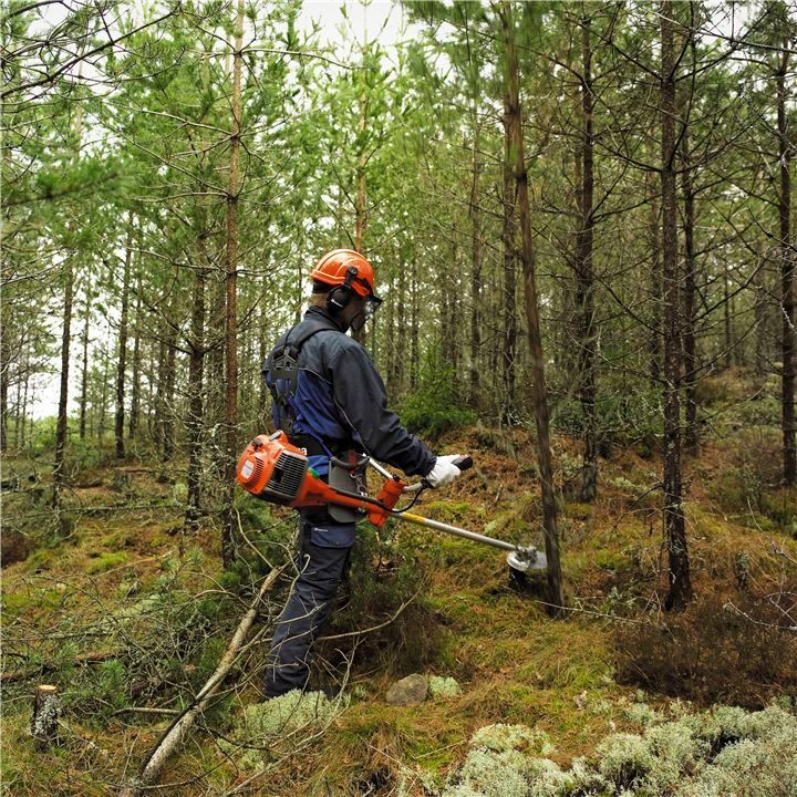 A Man Is Using A Brush Cutter In The Woods — Mid Coast Mowers In Taree, NSW