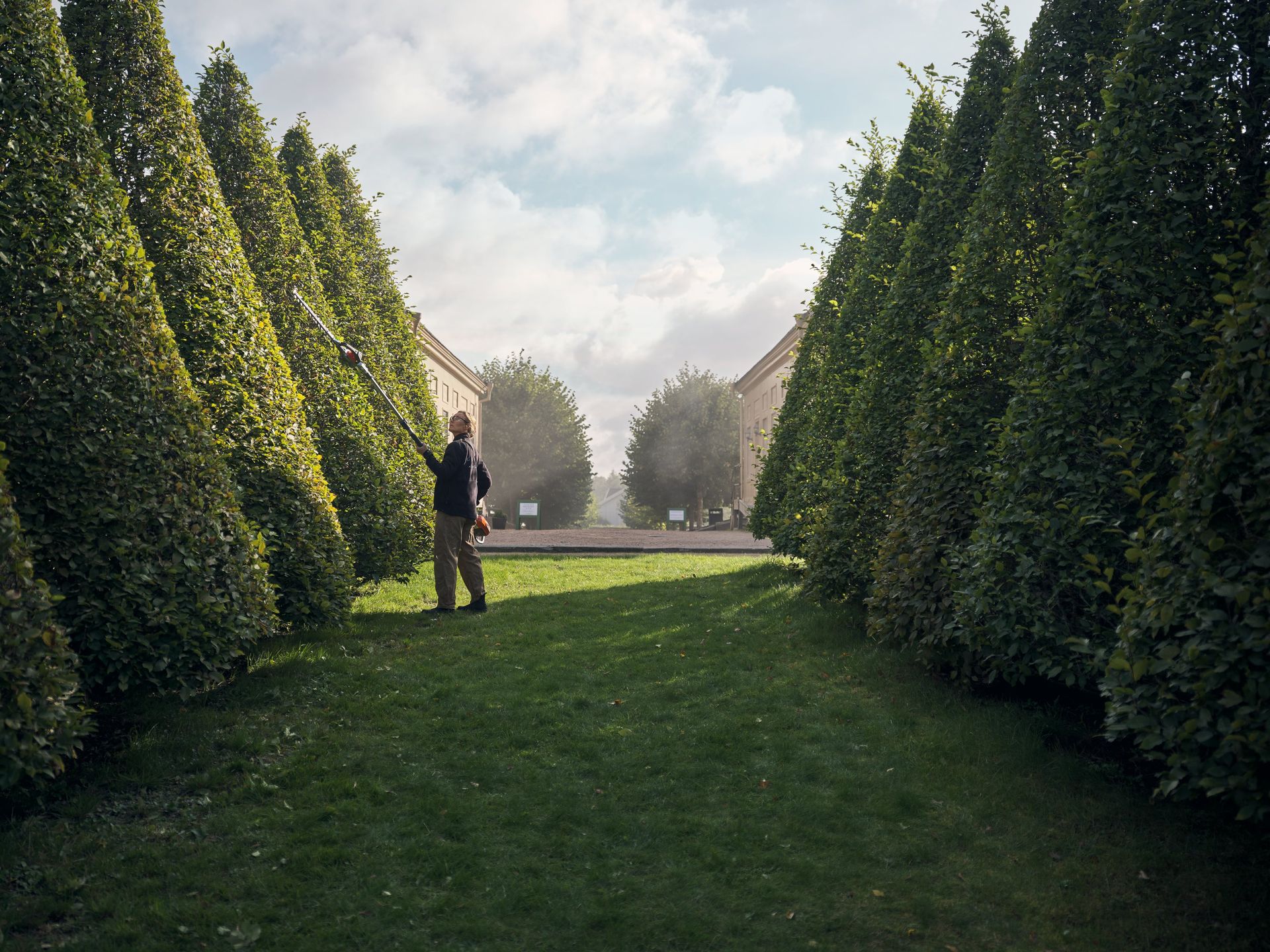 A Man Is Cutting A Hedge With A Hedge Trimmer — Mid Coast Mowers In Taree, NSW