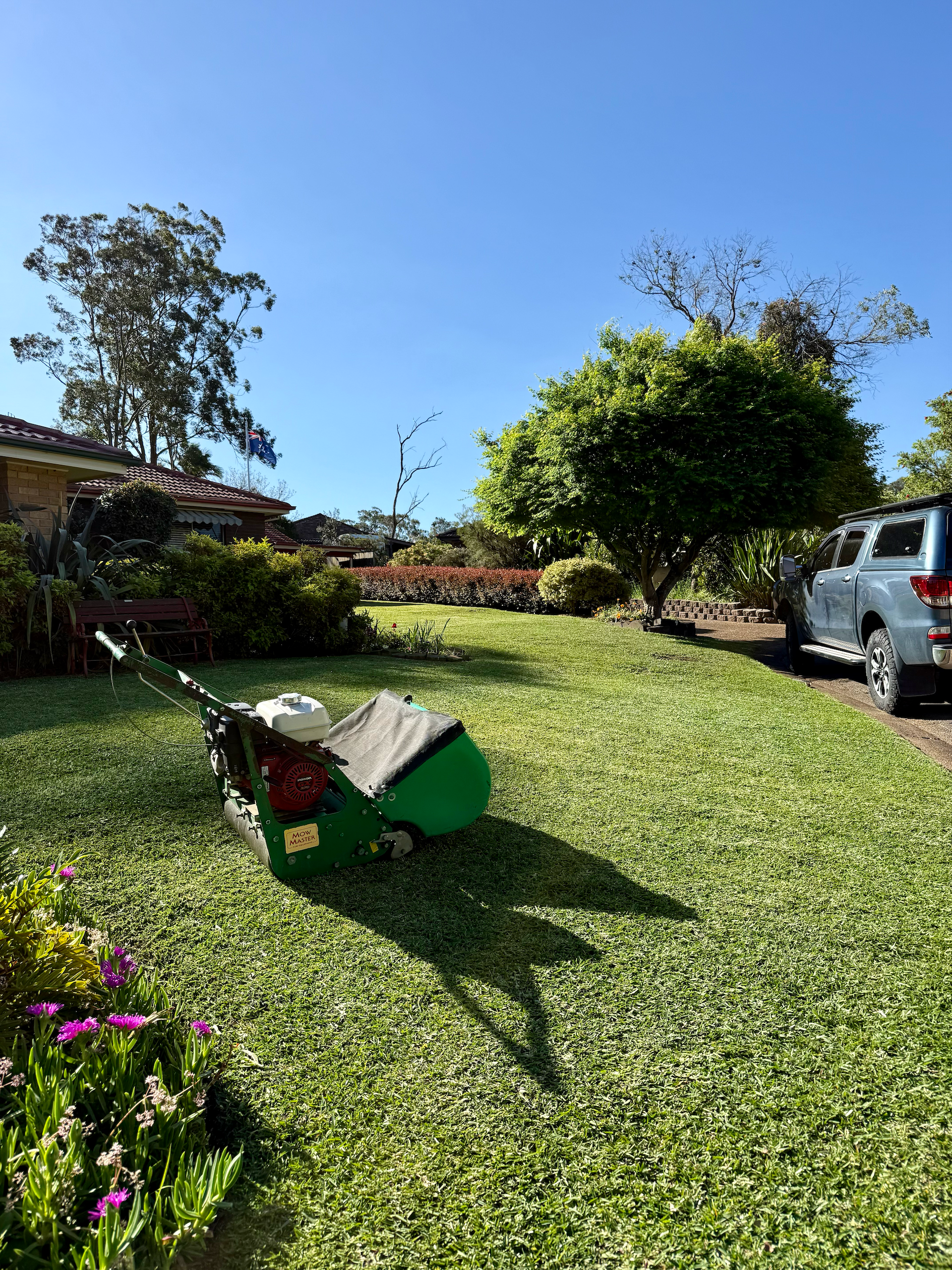 A Yellow Power Rake Removes Thatch From a Green Lawn, Leaving Behind Brown Debris — Mow & Mulch Lawn & Garden Maintenance In Medowie, NSW