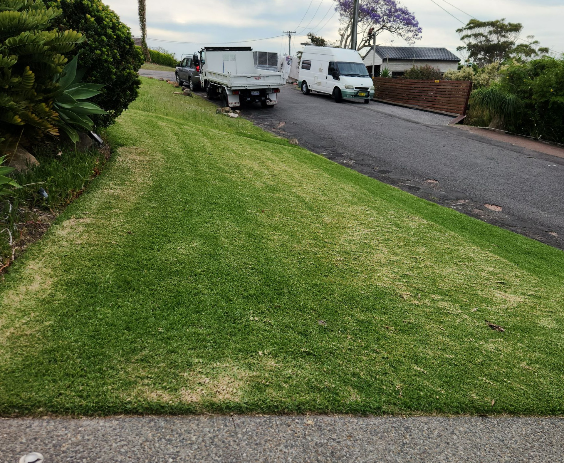 Green Lawn Next to a Road With Parked Trucks and a Van — Mow & Mulch Lawn & Garden Maintenance In Soldiers Point, NSW