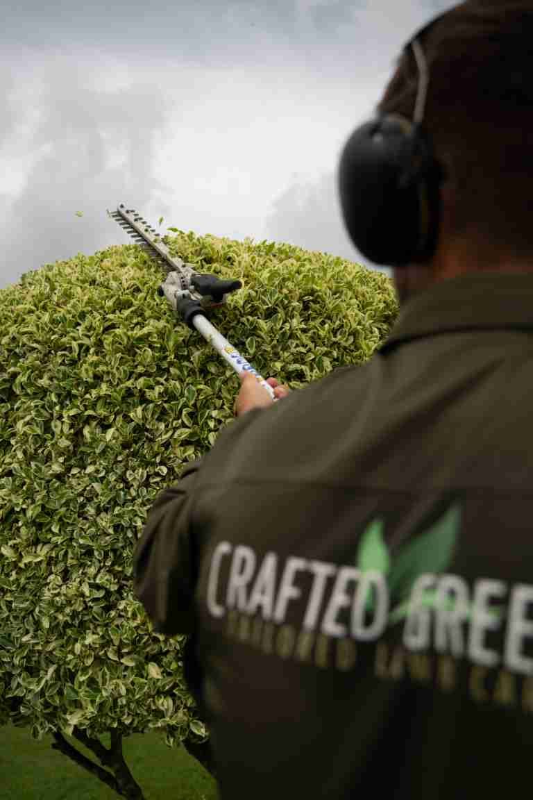 Man Trimming a Hedge With an Electric Trimmer — Mow & Mulch Lawn & Garden Maintenance In Soldiers Point, NSW