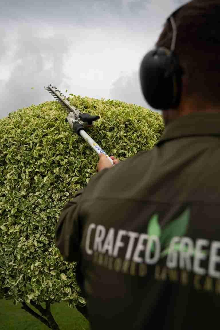 Man Trimming a Hedge With an Electric Trimmer — Mow & Mulch Lawn & Garden Maintenance In Soldiers Point, NSW