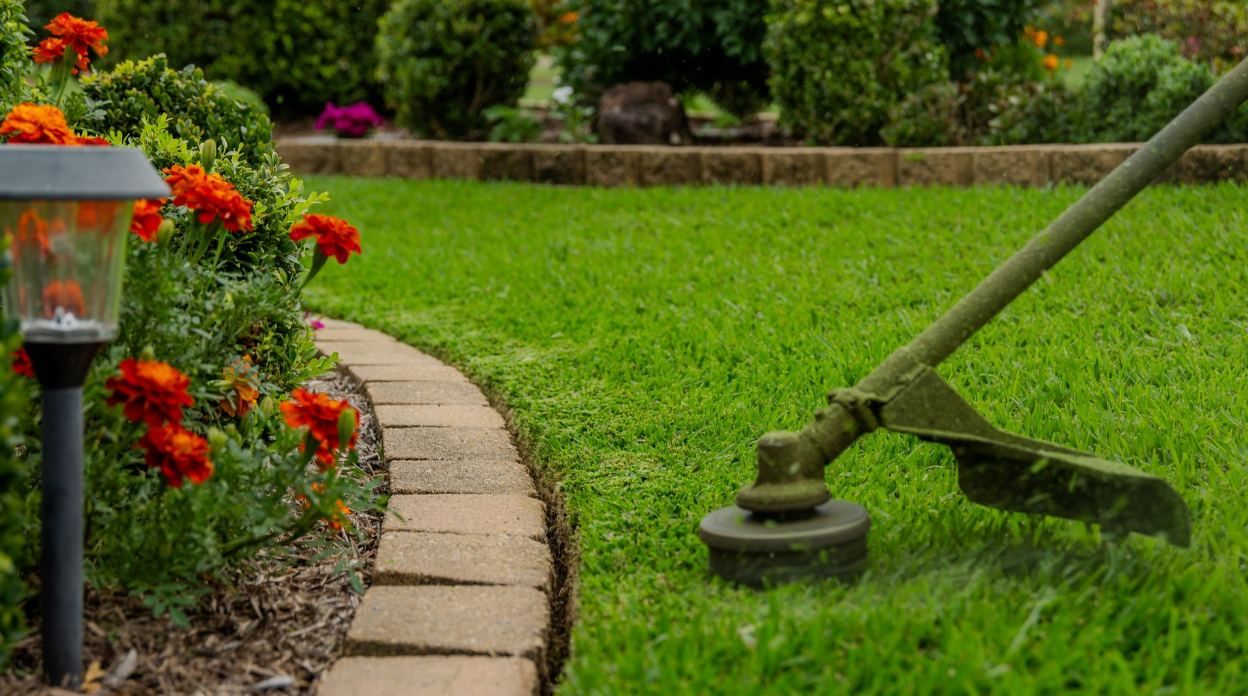 A Person Using a Weed Trimmer to Edge the Grass Next to a Flower Bed — Mow & Mulch Lawn & Garden Maintenance In Medowie, NSW