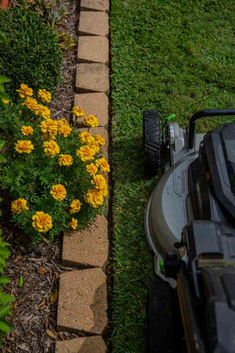 A Lawnmower Cutting Grass Alongside a Flower Bed With Yellow Flowers and a Brick Border — Mow & Mulch Lawn & Garden Maintenance In Salamander Bay, NSW