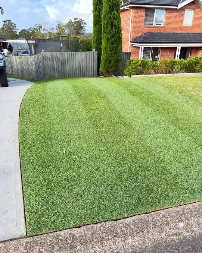 Lush Green Lawn in Front of Row of Houses — Mow & Mulch Lawn & Garden Maintenance In Salamander Bay, NSW
