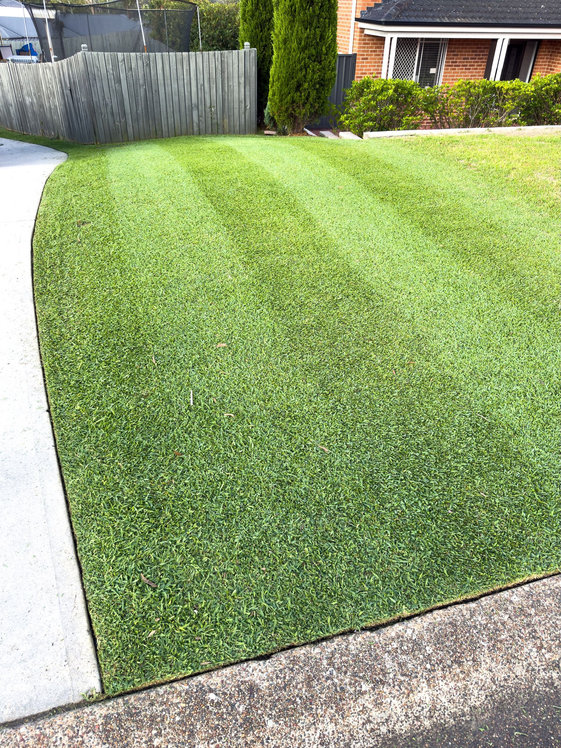 Lawn With Green Grass Mowed in Stripes, Bordered by a Concrete Path and Fence — Mow & Mulch Lawn & Garden Maintenance In Soldiers Point, NSW