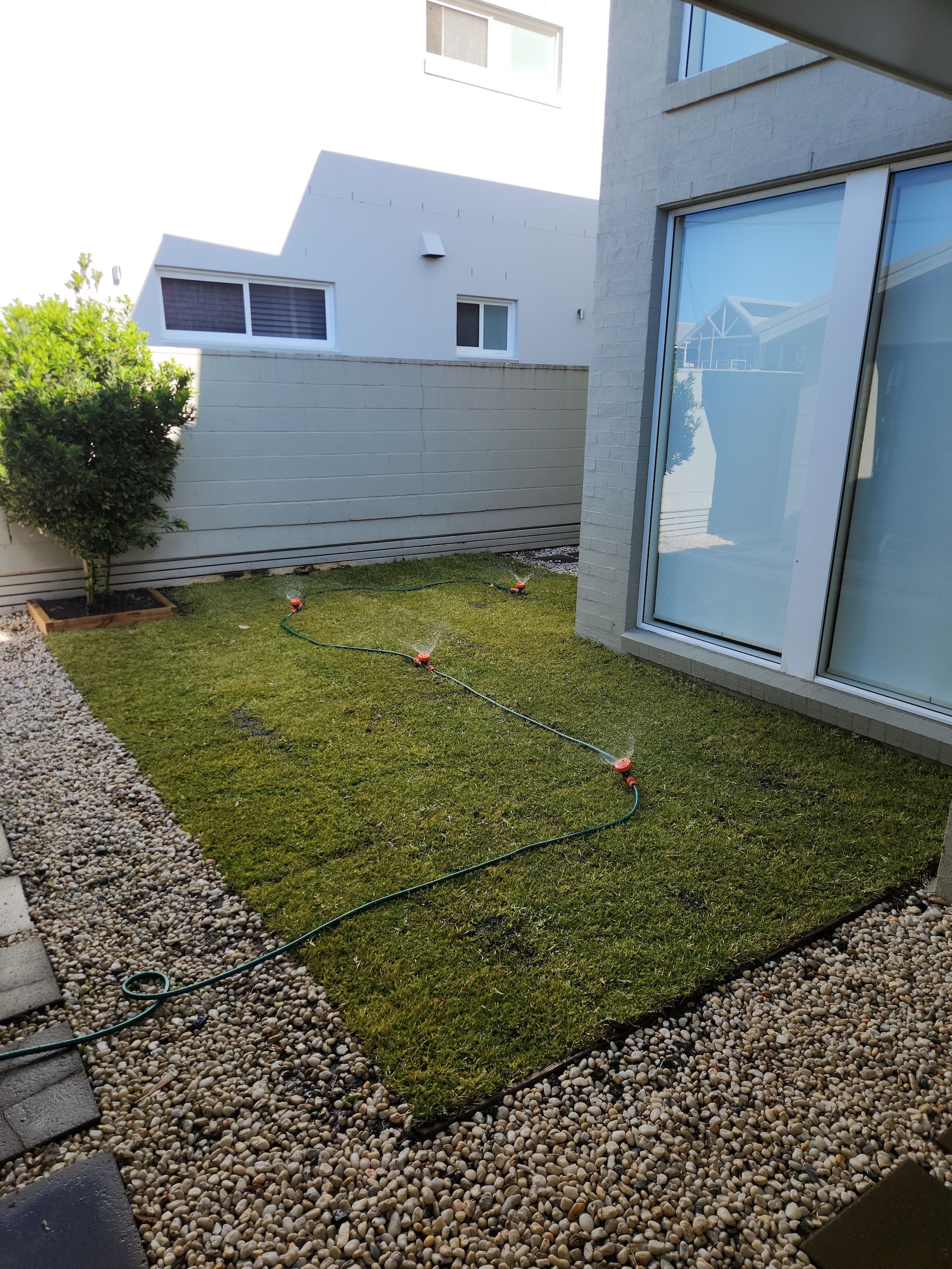 Green Lawn Bordered by a Sidewalk and Street With Parked Cars — Mow & Mulch Lawn & Garden Maintenance In Salamander Bay, NSW